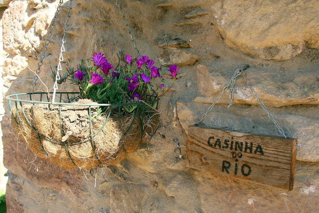 Sete Quintas Miranda do Corvo Esterno foto