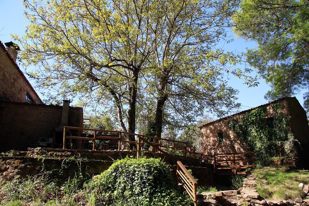 Sete Quintas Miranda do Corvo Esterno foto